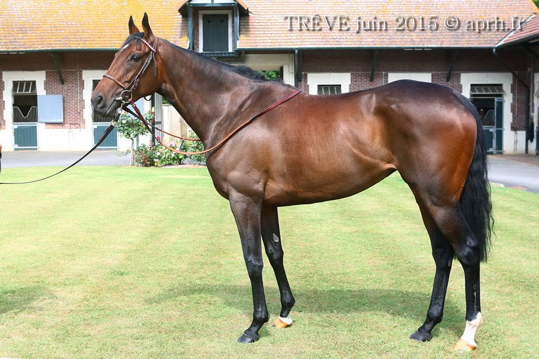 AprhChantilly's tweet image. physical evolution of TRÊVE @FollowTreve