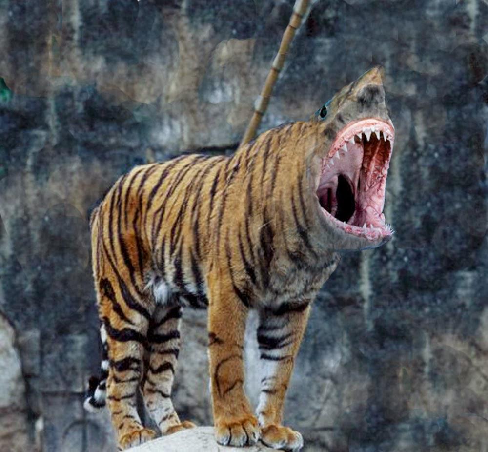 Half tiger half shark shop