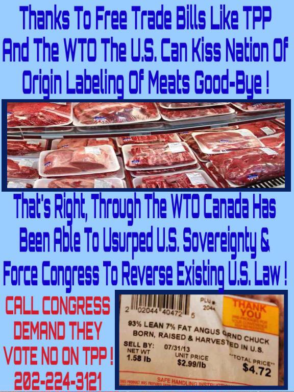 VirginiaInCal's tweet photo. Don't hand over control of US laws 2 other nations & corp's. Call Congress at 202-224-3121 &DEMAND they VOTE #NoOnTPP http://t.co/L6yTzF9RRd