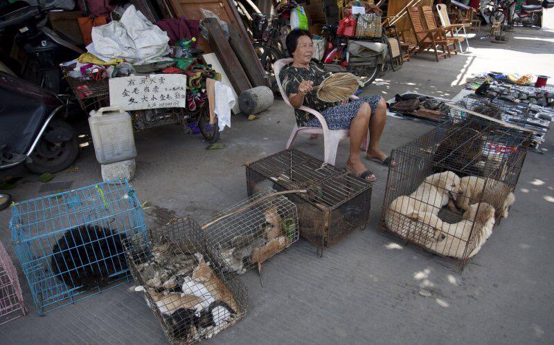 #StopYuLin2015
Chinese Town To Kill 10,000 Dogs For Festival thebea.st/1FrtrMv via <a href="/thedailybeast/">The Daily Beast</a>