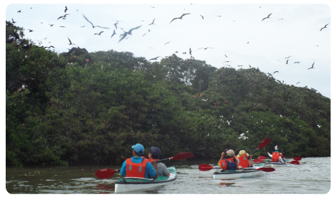 Verdeturviajes's tweet photo. Espectacular ! #Tour de #Kayak en #IslaCorazon #AllYouNeedIsEcuador http://t.co/2AodzuJprY http://t.co/ajeH6XmlMC