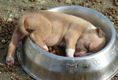 _Paisajes_'s tweet photo. 5 minutos más, por favor. http://t.co/tszG9uCxfJ
