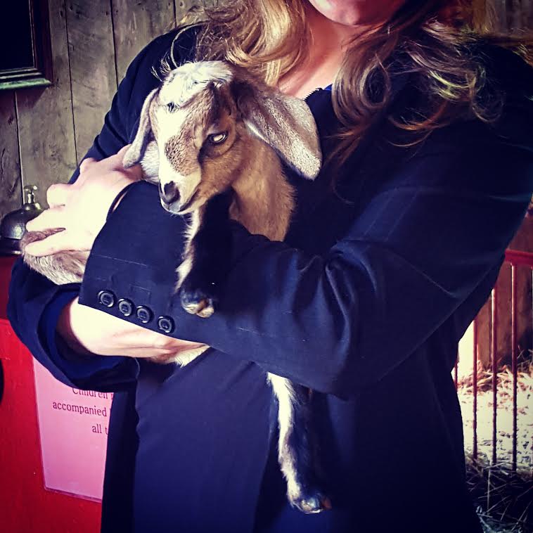 Visited @IslandHillFarm -#smallbiz in #PEI Excited #cfib is profiling them on shopsmallbizblog.net #goat #cdnag