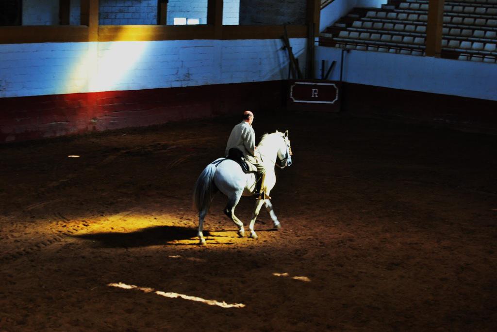 CaballosPRE's tweet photo. "A caballo, la vida se hace corta en busca de una experiencia larga", Ángel Peralta.

#Pensamientos http://t.co/OIB4y9v39X