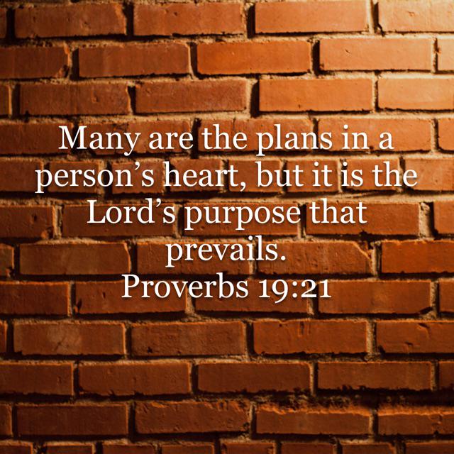 singh_aaron's tweet image. Our plans must be aligned with God&apos;s purpose!
#ProperAlignment bible.com/111/pro.19.21.…