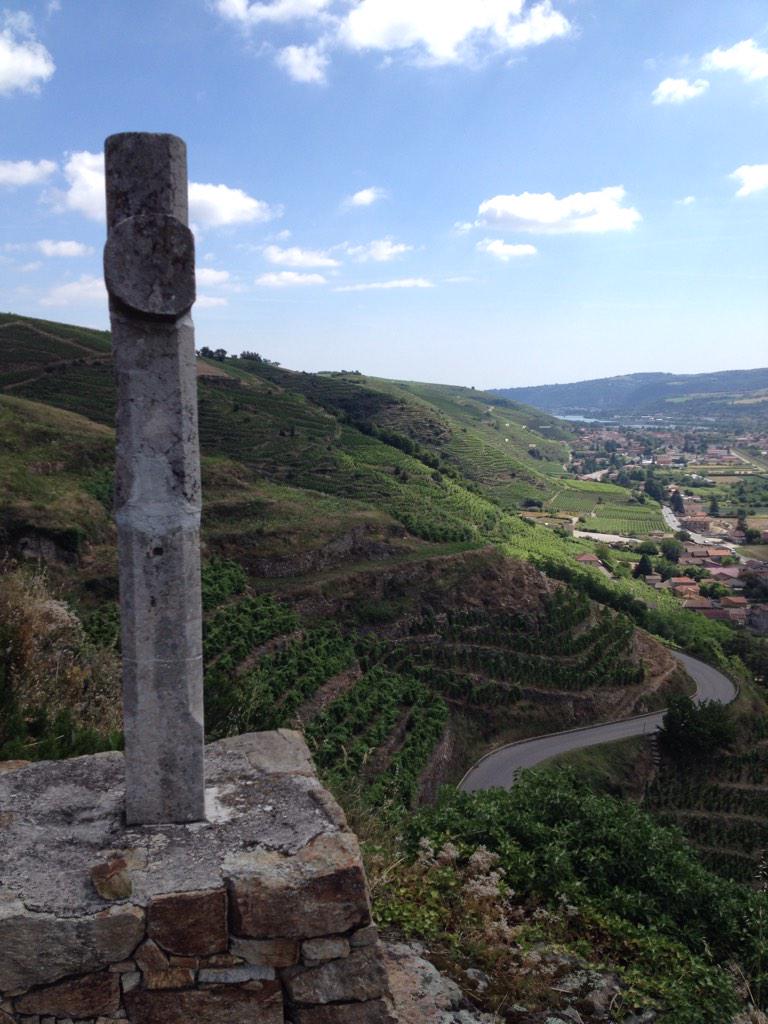 Graeme Bott tweet media