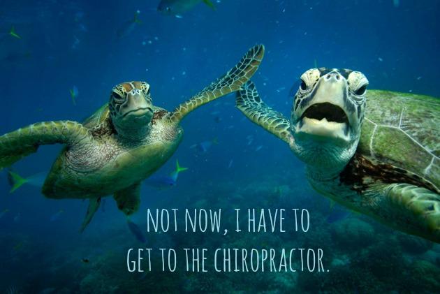 Time for my monthly spinal service!!