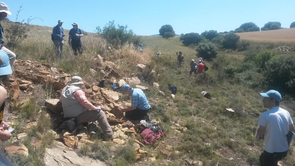 ZBelalugosi's tweet photo. During 2nd fieltrip of #PEP2015, participants visited Ordovician, Silurian &amp; Devonian outcrops in the Iberian chains http://t.co/3IrVLPo2zD
