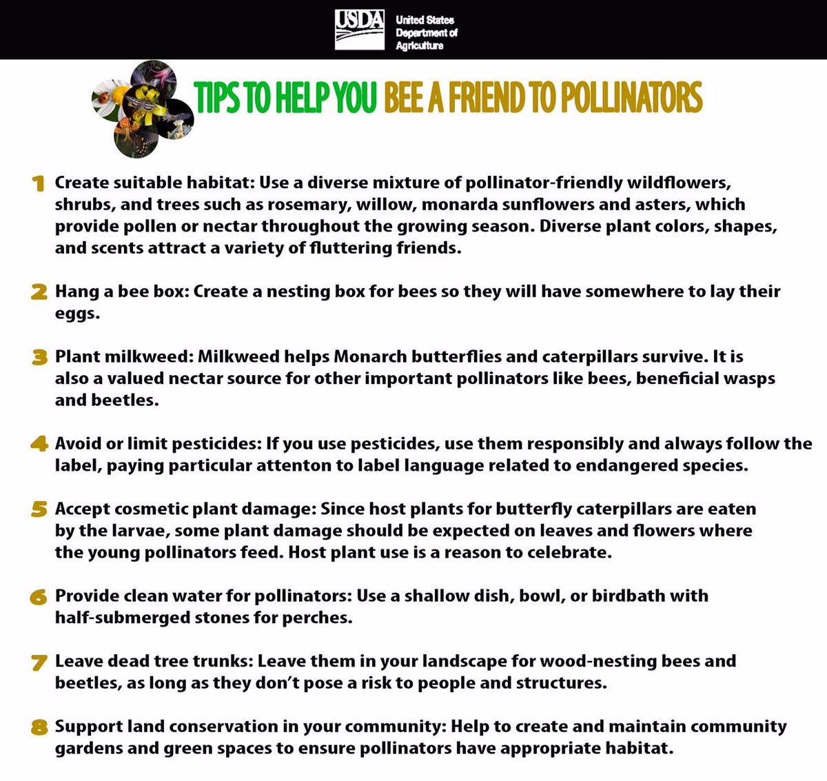 WoodsyOwl's tweet photo. Tips to help you BEE a friend to pollinators, HT @USDA_NRCS: http://t.co/dNT36oV7TL #PollinatorWeek http://t.co/YStAxYPaIG