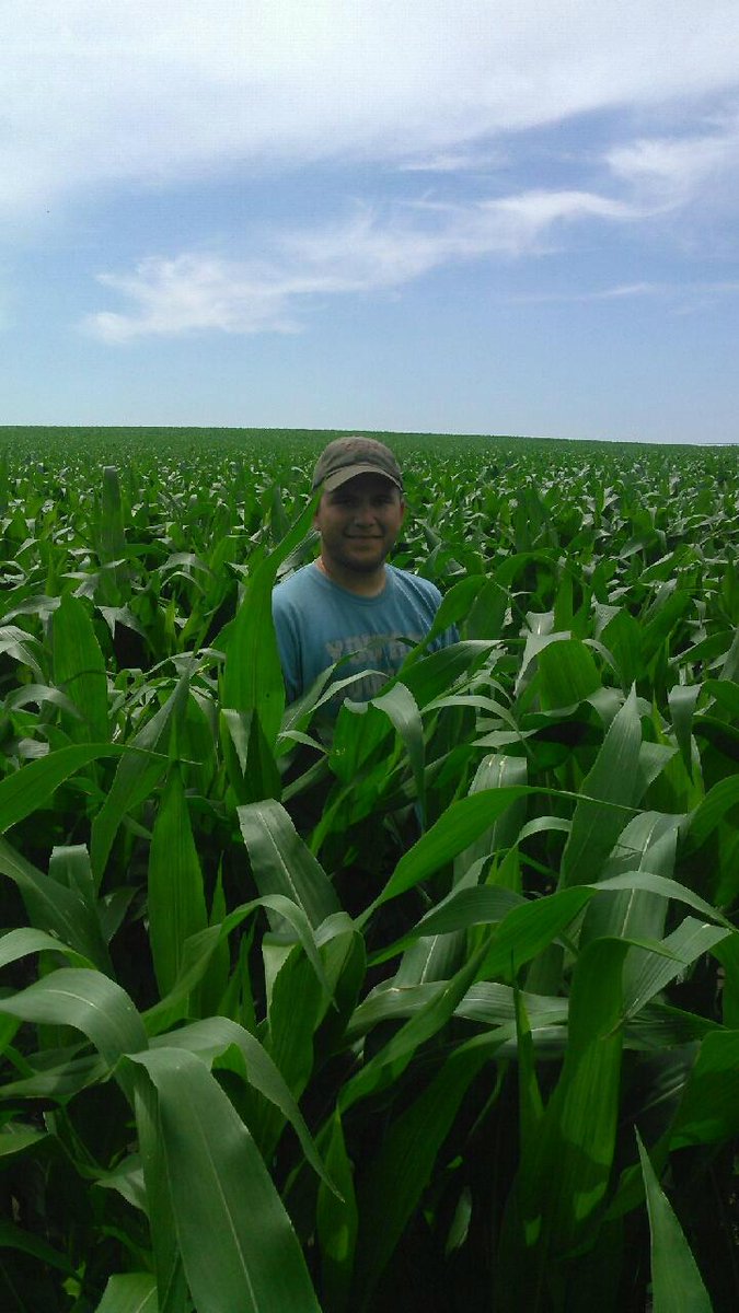 smerrill92's tweet photo. Corn looking good near Parker! #Curryseed #Grow15 @curryseed @sdcorn @RenliSteven http://t.co/OdvHkcu69Q