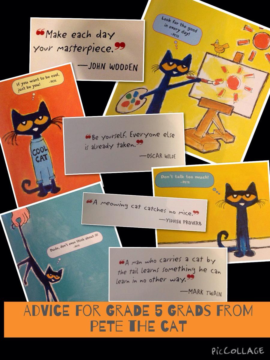 Brookmede P.S. tweet media