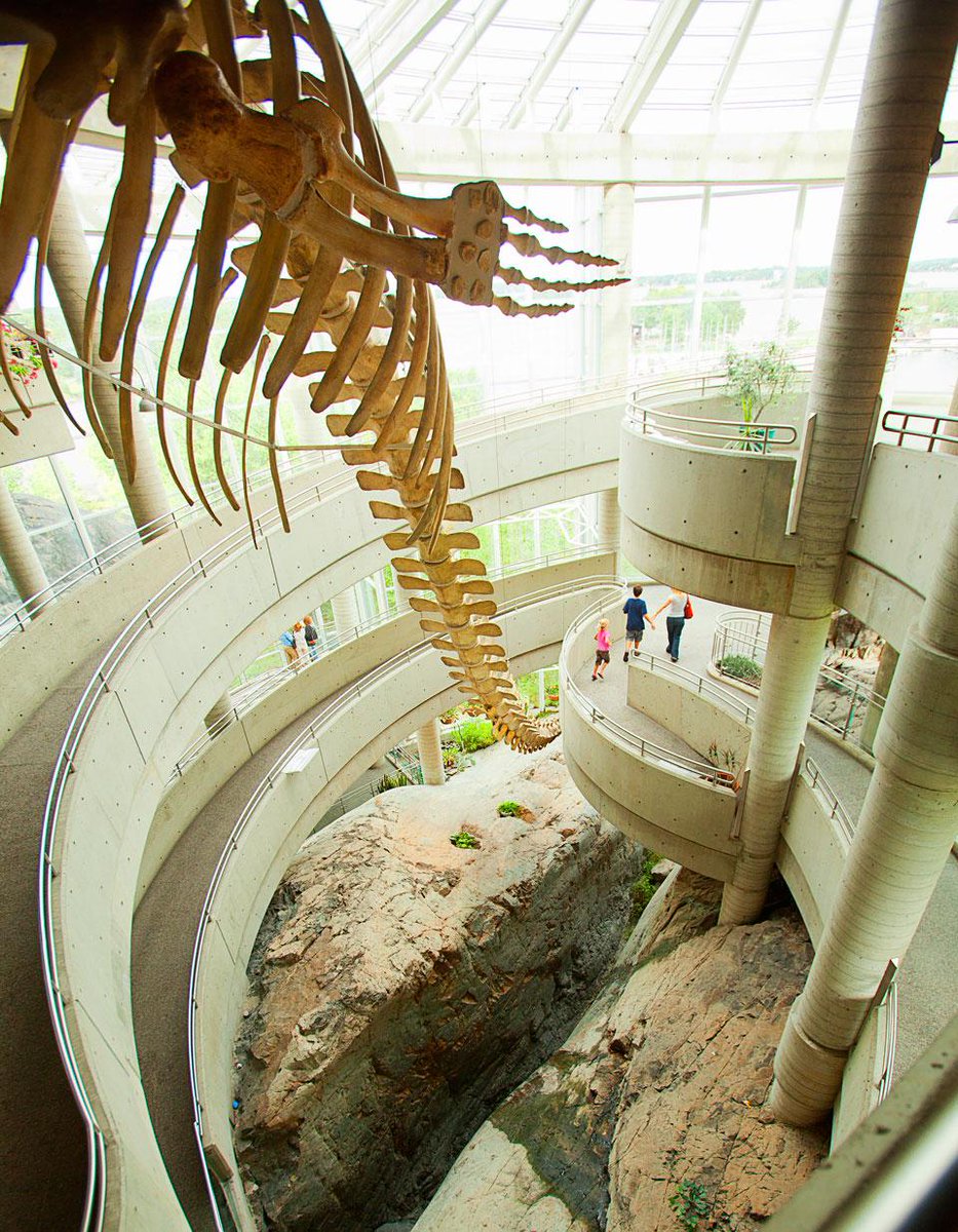 Happy 31st, <a href="/ScienceNorth/">Science North & Dynamic Earth</a>! Its organizations like SN that make Greater Sudbury a great place to live.