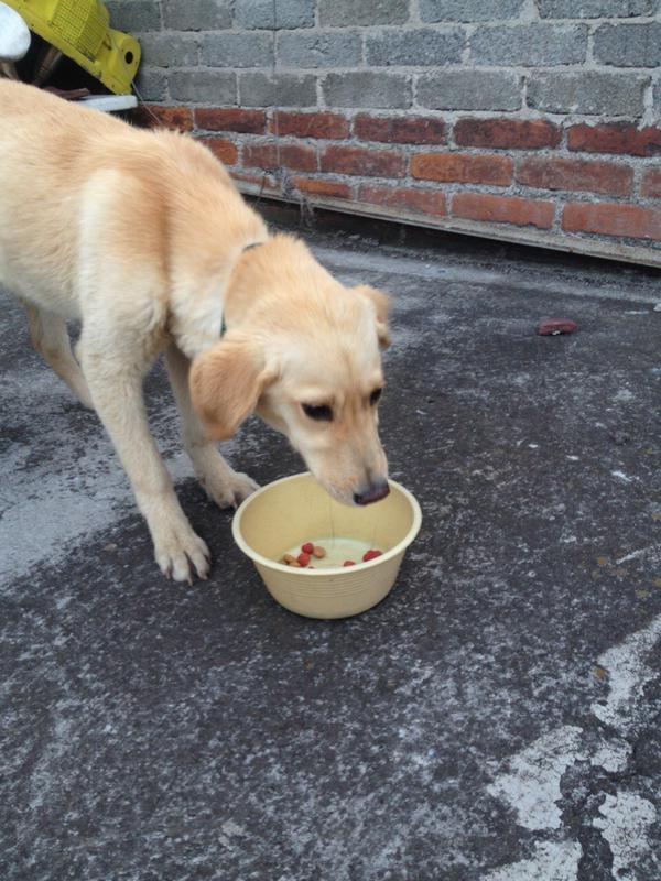 Fondo Bella tweet media