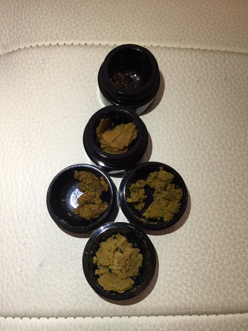 Oakland Organics hooked it up today w/ these amazing waxers. #CO2 #LoudLive #GrapeKush #RippesBubba #SourOG<a href="/tag/gsc"class="tags"><span>#gsc</span></a><a href="/tag/co2"class="tags"><span>#co2</span></a><a href="/tag/grapekush"class="tags"><span>#grapekush</span></a><a href="/tag/loudlive"class="tags"><span>#loudlive</span></a><a href="/tag/rippesbubba"class="tags"><span>#rippesbubba</span></a>