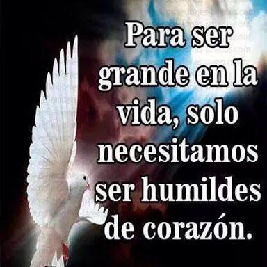 AddyPerezPS's tweet photo. Mis amigas un abrazo y mi cariño,Bendiciones @sacmucuy @TessyGamboa @elizavaa @charitocetina @veronicacamino @CaroMHC http://t.co/xfzmpcaPc5