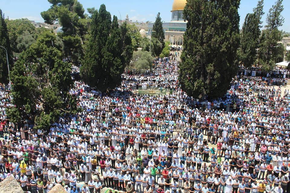 EvanRasputin's tweet photo. صلاة أول جُمعة في رمضان، المسجد الأقصى، فلسطين.. http://t.co/ajC21Rr1Qx