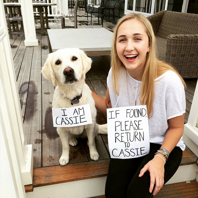HeroDogAwards's tweet photo. 10 million pets get lost each year. Help @AmericanHumane & take the #Lost4Dogs challenge now! http://t.co/1u9iRnD8eZ http://t.co/zEIYPvFJLA