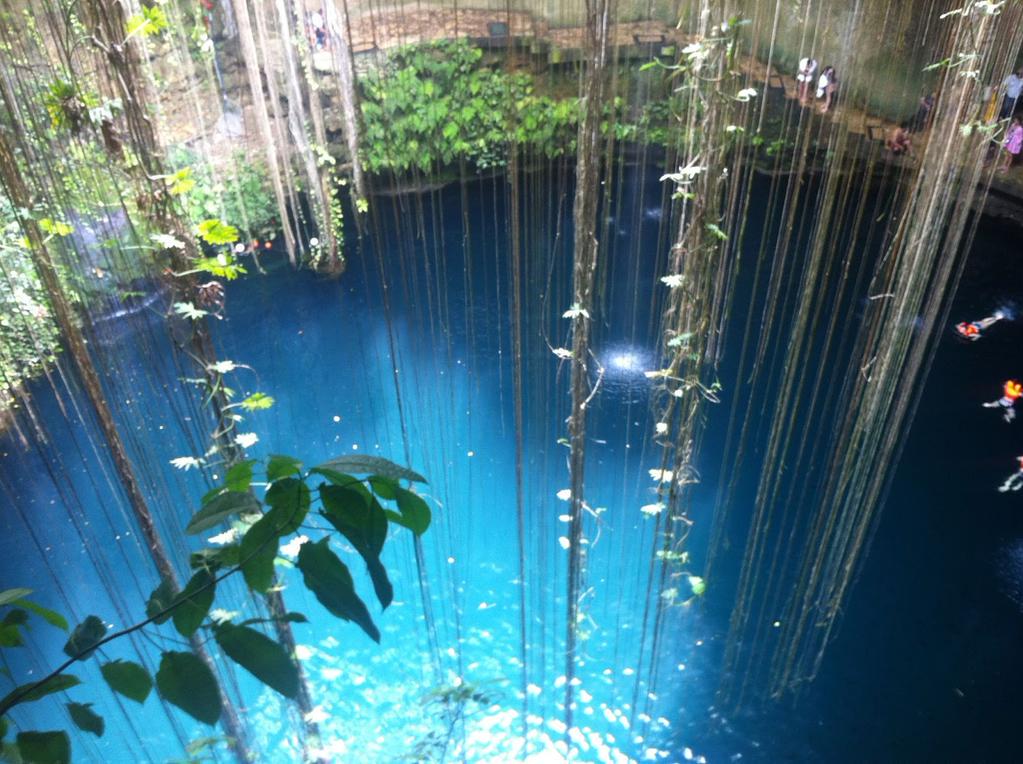 Riviera Maya tweet media