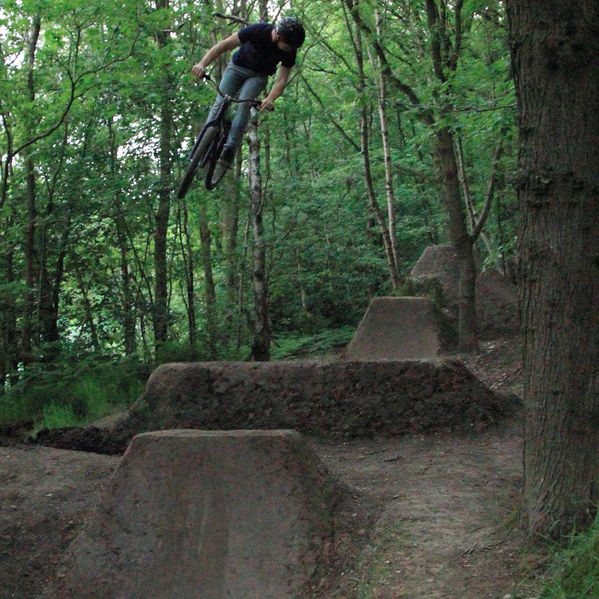 MilanRecknagel's tweet image. First twists on big line tonight, stoked!! #monkeybumps #trails @InfoInvictus @plussizebmx @BikeRehab