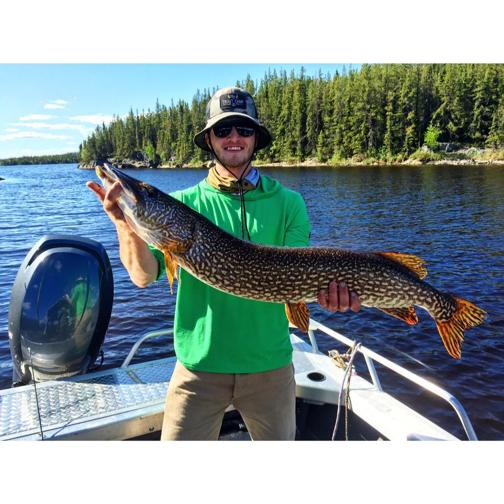 RLTroutCamp's tweet photo. Caught some big ol' boys yesterday. #thisistroutcamp #pikefishing #fishing #fishcanada #Saskatchewan 🇨🇦🎣 http://t.co/dA8n2L0ZpA