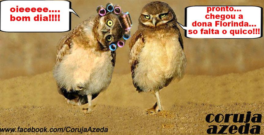 coruja azeda (@corujaazeda) / Twitter coruja azeda (@corujaazeda) / Twitter