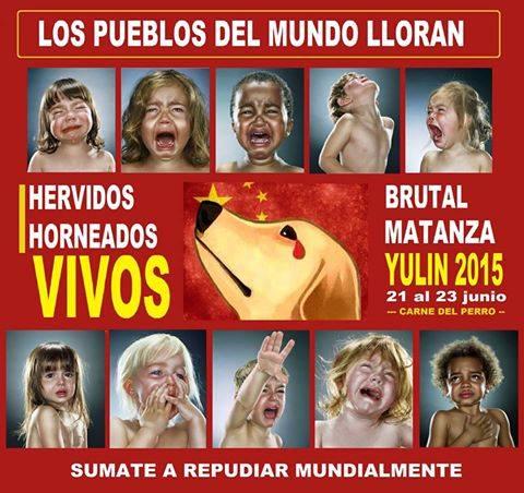 Soy HumAnimal tweet media