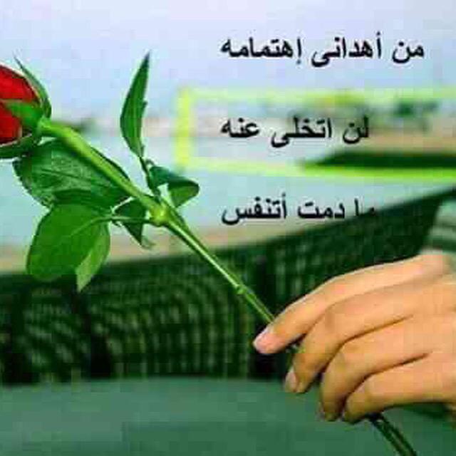#khaled (@khaledm92584292) on Twitter photo 