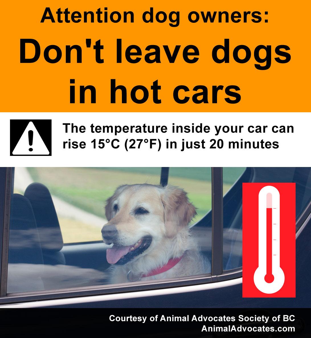 AASBC's tweet image. DOGS IN HOT CARS PETITION! SHARE TO PREVENT DEATHS. Sign: bit.ly/1GaYjm2 Print poster:bit.ly/1CithH2