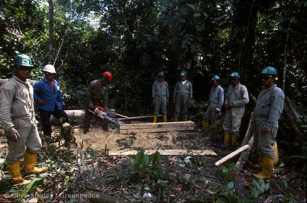 Greenpeace's tweet photo. Such a loss. Ecuador to sell 1/3 of its Amazon rainforest to oil companies. http://t.co/EhqxajhMGs http://t.co/VNF90fyJDZ