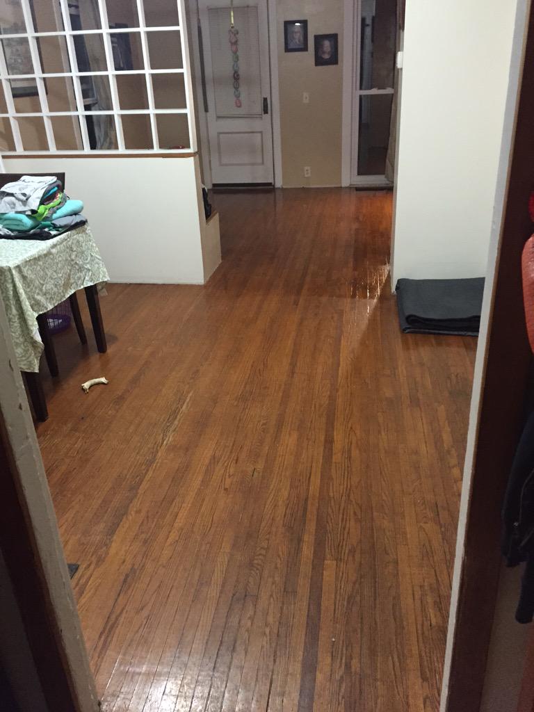 Jarsh's tweet image. Apparently this was under our gross carpets. Boom.