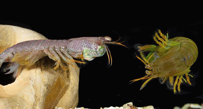 ScienceNews tweet picture