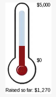 RunForAV's tweet image. We've reached 25% of our fundraising goal. Please help us reach $5K this summer. Any amount is appreciated and helps.