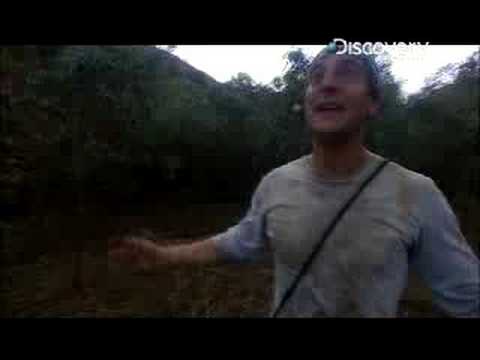 Man vs. Wild - Australia Thunderstorms vid.staged.com/5wNp #disney #SuperHeros