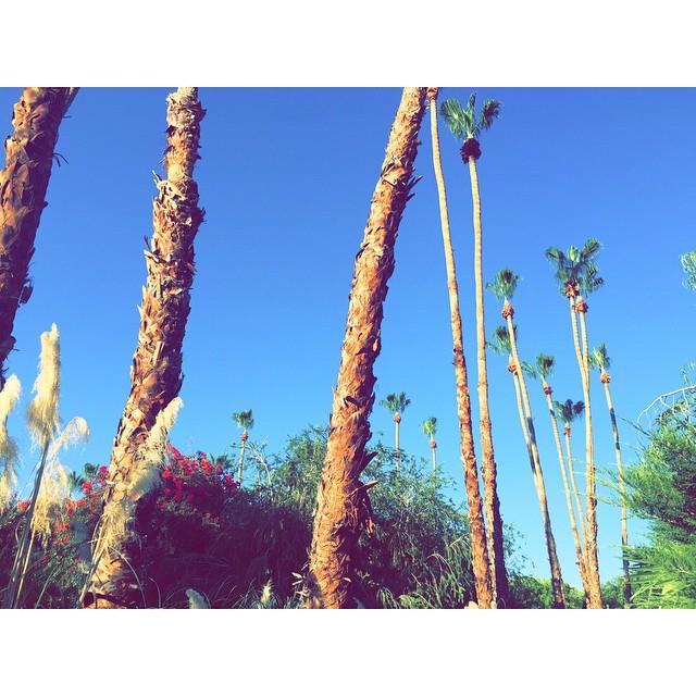 tokiohotel's tweet photo. 😎🌴☀️🚬📝📚 http://t.co/lveLHUz2pd http://t.co/M7IWlLwRs8