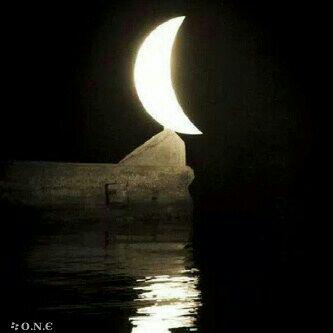 algrah641 tweet picture