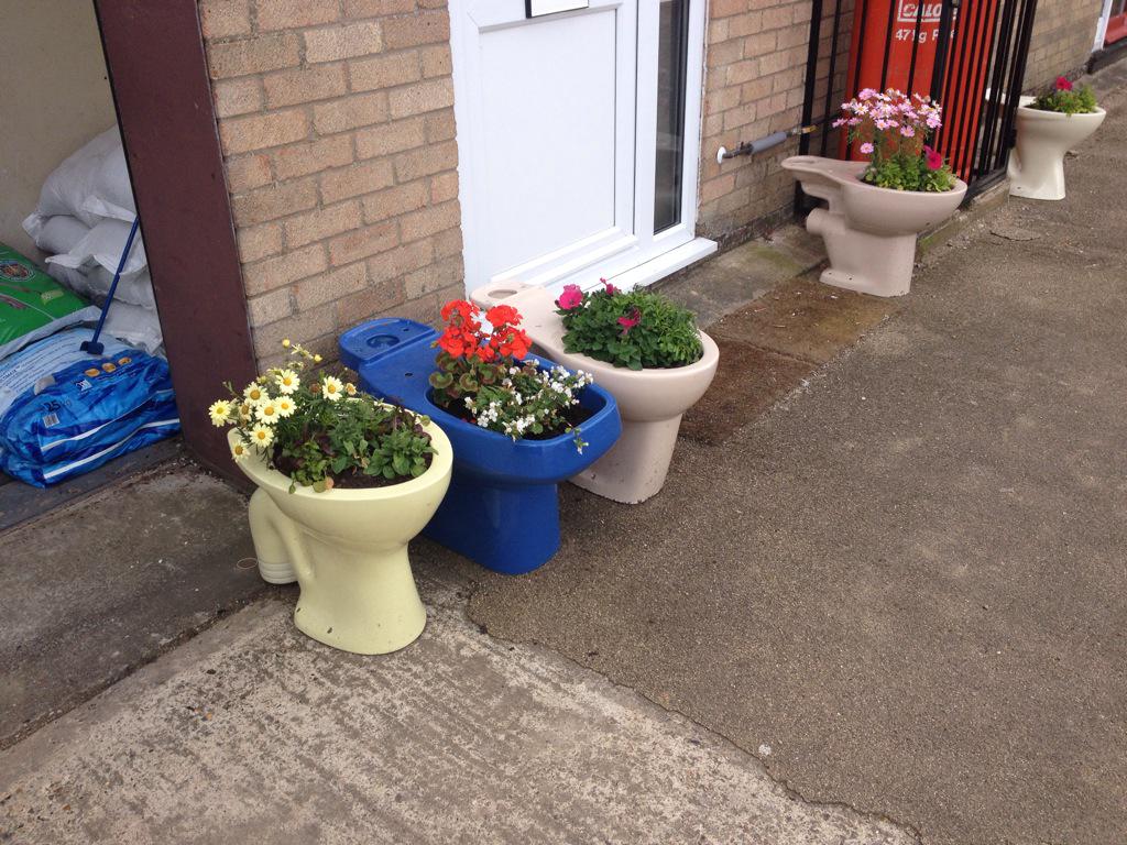 #wymondhaminbloom - no space is too small or too quirky for flowers