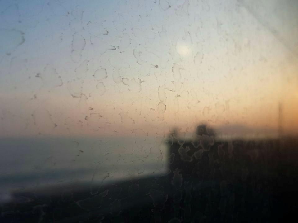 claudia vago tweet media