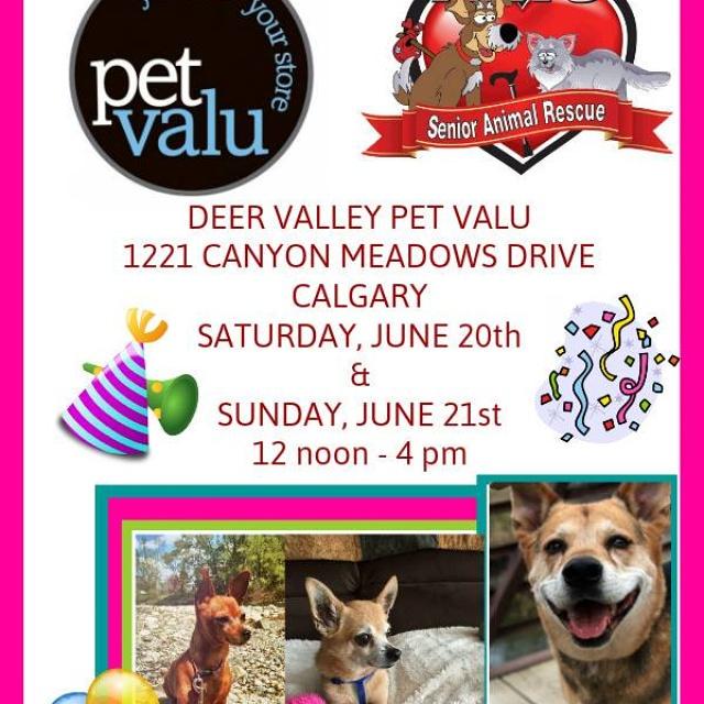 Come meet some cuties @PetValuDrValley