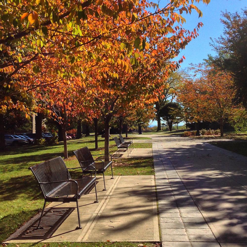 ConnCollege's tweet image. Conn College makes @ThePrincetonRev's list of ‘top green colleges’ for fifth consecutive year! bit.ly/1JnBzDD