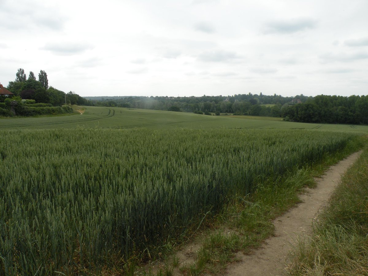 Don't miss out on this lovely view, come and join us for our Wartime-Themed Fete starting at 12.00.