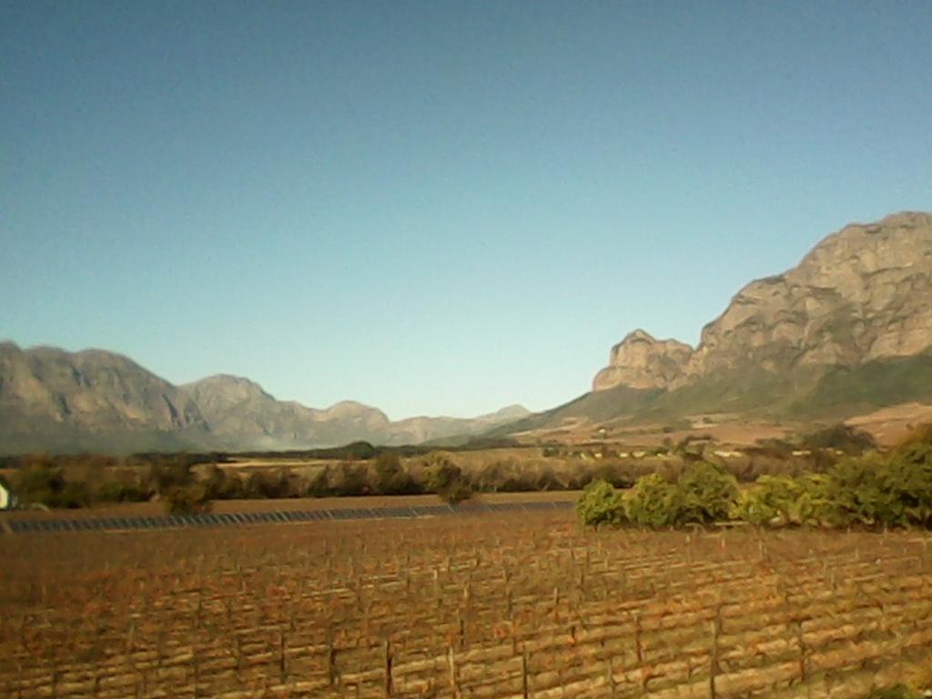 SobAlert's tweet photo. TY RT @SAWineIndex " Fairest Grape in all the World." @GoSocialSA @WomanAliveTV #SAWiAwards #SouthAfrica http://t.co/lHFdjbwa74
