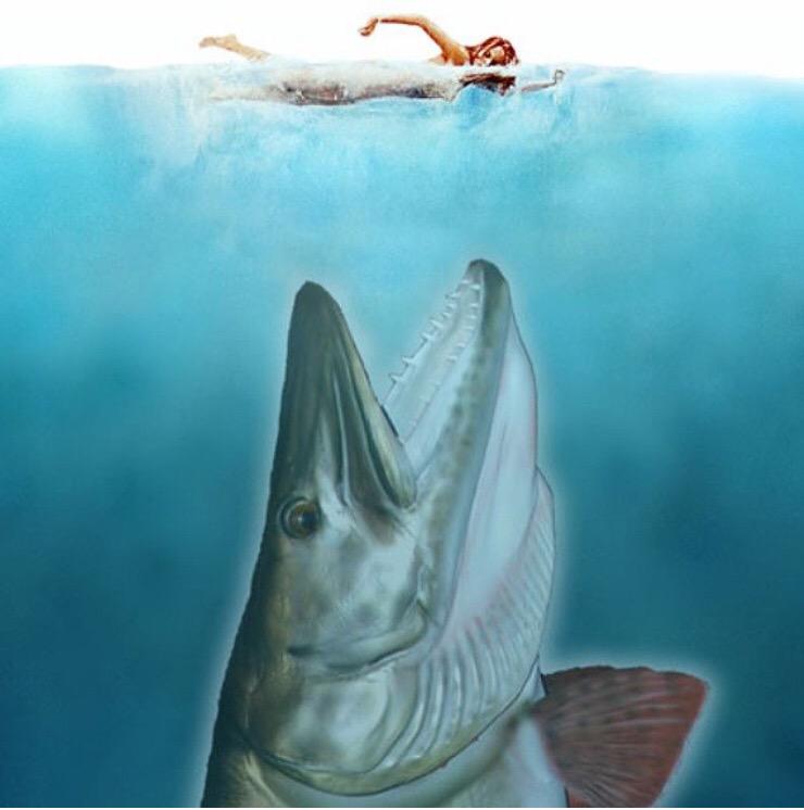 greg_mustfish tweet picture