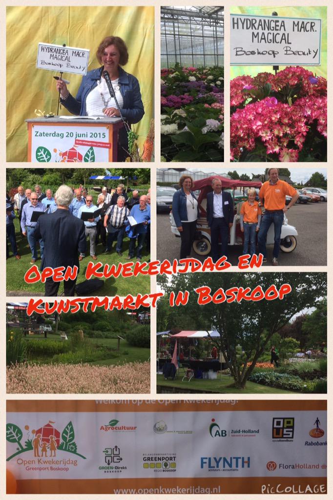 Een impressie van Open Kwekerijdag en Kunstmarkt Boskoop 20-06-15