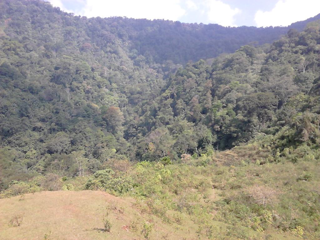 Kombo_Kuningan's tweet photo. #curug_walet #salengge #desa_citundu
@YVMLP 
@ExploreKuningan http://t.co/QK9v2ZJo4K
