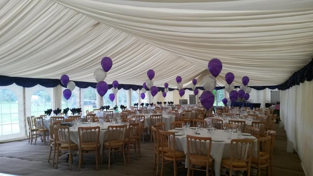 ballooncrazy08's tweet photo. Marquee Party http://t.co/bX9wrJE7Fi