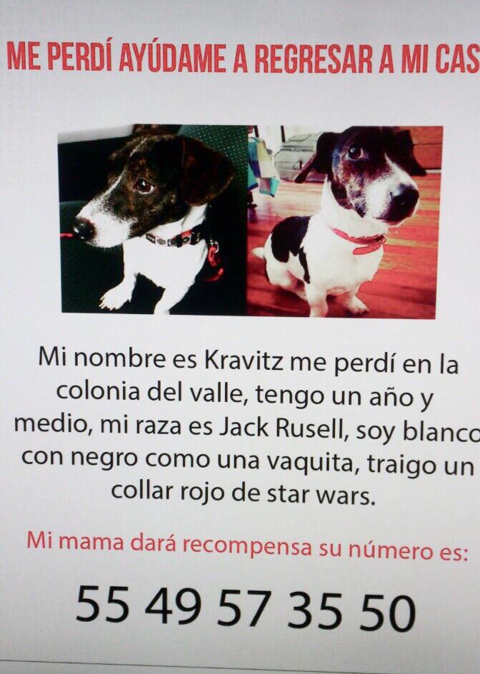 BerryBrenda tweet media