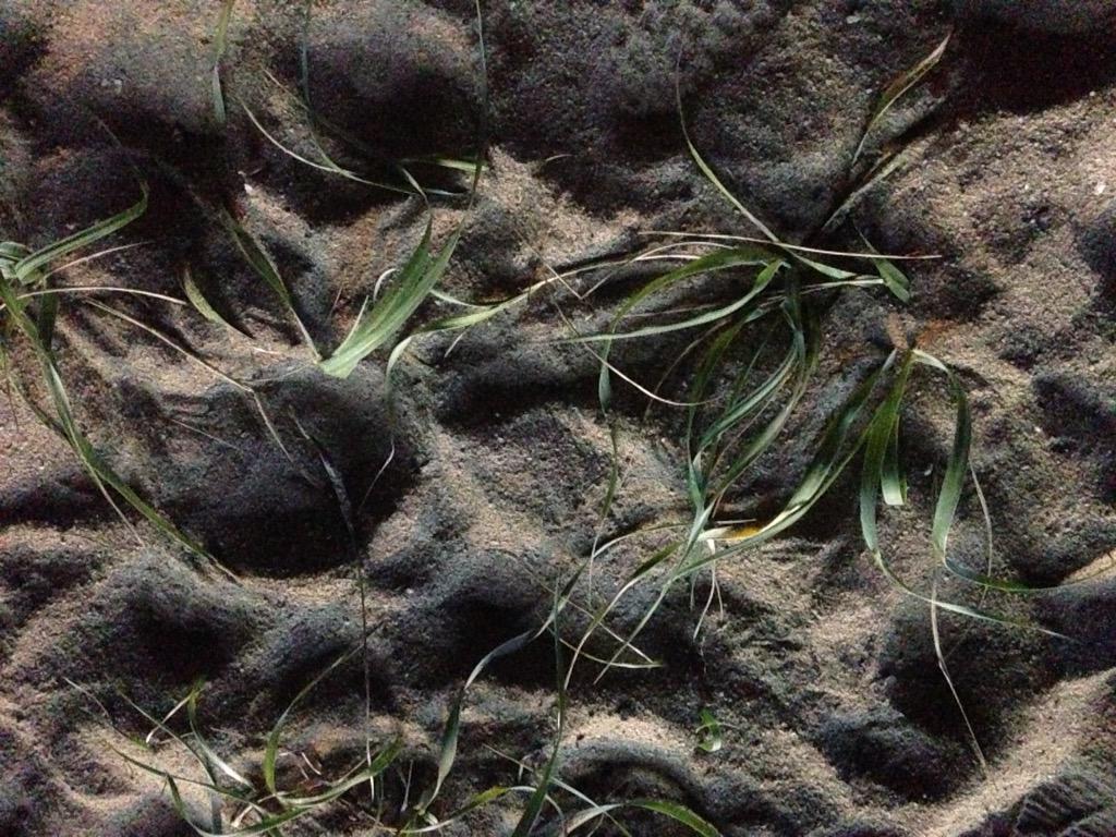 macstone36's tweet photo. 바닷가 http://t.co/2NonRgg8e7