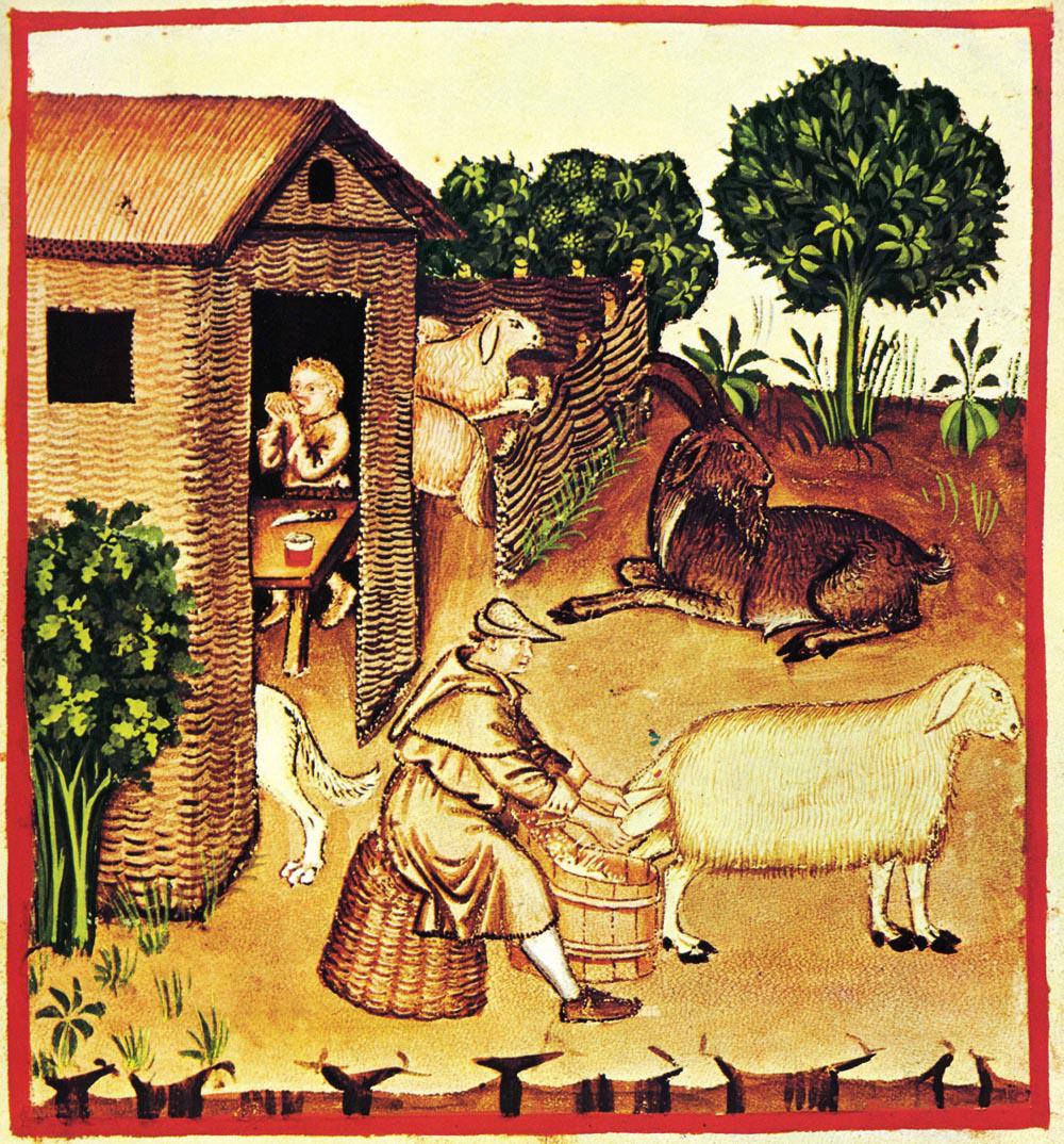 中世フランスの農業の変遷 中世パン図鑑別冊 6ページ目 Togetter