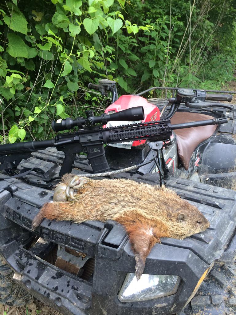 JKyle08's tweet photo. Smoked him over 400 yards away #Believe #Winchester #beaneatergone #snipedhim http://t.co/YL9RaMyga3