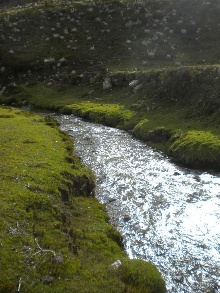 MeridaNatural's tweet image. #Mérida #LosAndes #Montañas #ClimaFrío #Naturaleza #Paisajes